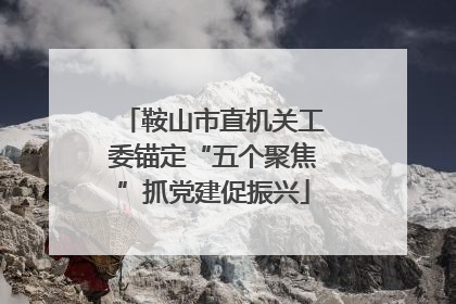 鞍山市直机关工委锚定“五个聚焦”抓党建促振兴
