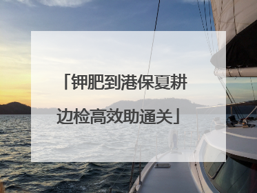 钾肥到港保夏耕 边检高效助通关