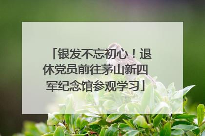 银发不忘初心！退休党员前往茅山新四军纪念馆参观学习