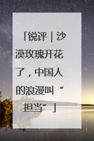 锐评｜沙漠玫瑰开花了，中国人的浪漫叫“担当”