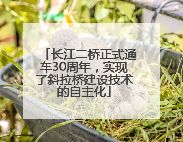 长江二桥正式通车30周年，实现了斜拉桥建设技术的自主化