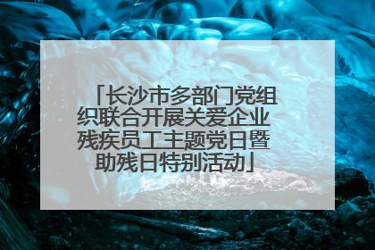 长沙市多部门党组织联合开展关爱企业残疾员工主题党日暨助残日特别活动