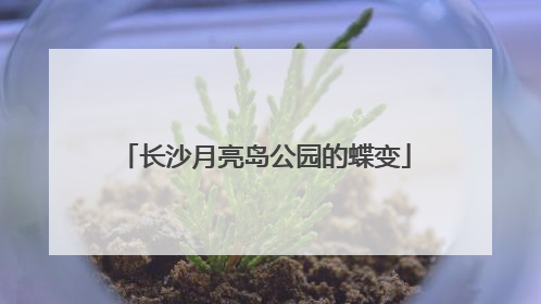 长沙月亮岛公园的蝶变