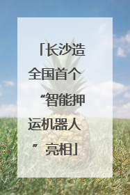 长沙造全国首个“智能押运机器人”亮相