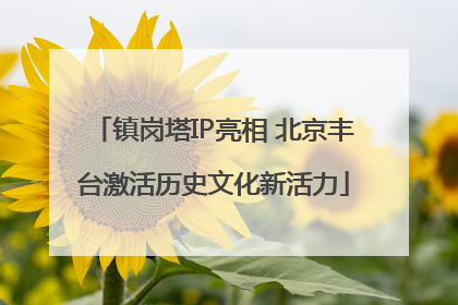 镇岗塔IP亮相 北京丰台激活历史文化新活力