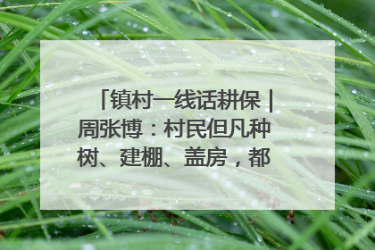 镇村一线话耕保｜周张博：村民但凡种树、建棚、盖房，都要向街道报批