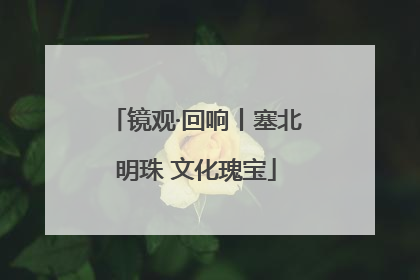镜观·回响丨塞北明珠 文化瑰宝