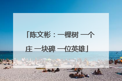 陈文彬：一棵树 一个庄 一块碑 一位英雄