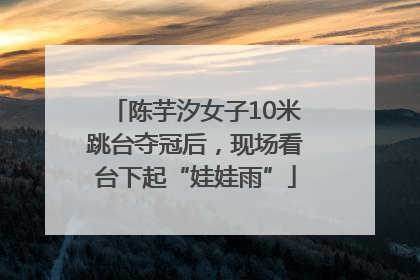 陈芋汐女子10米跳台夺冠后，现场看台下起“娃娃雨”