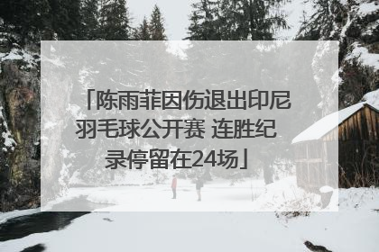 陈雨菲因伤退出印尼羽毛球公开赛 连胜纪录停留在24场