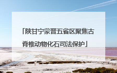 陕甘宁蒙晋五省区聚焦古脊椎动物化石司法保护