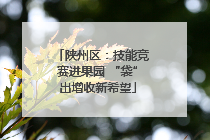 陕州区：技能竞赛进果园 “袋”出增收新希望