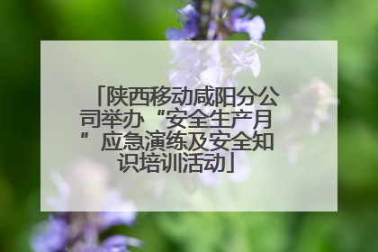 陕西移动咸阳分公司举办“安全生产月”应急演练及安全知识培训活动