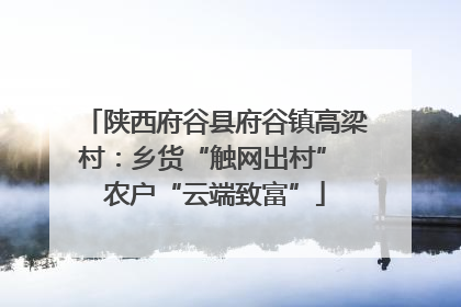 陕西府谷县府谷镇高梁村：乡货“触网出村” 农户“云端致富”