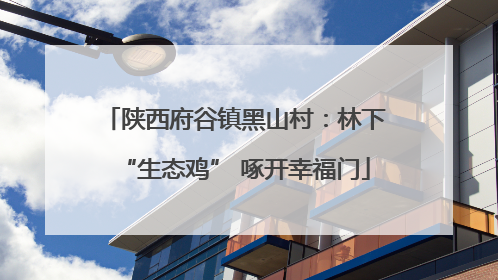 陕西府谷镇黑山村：林下“生态鸡” 啄开幸福门