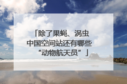 除了果蝇、涡虫 中国空间站还有哪些“动物航天员”
