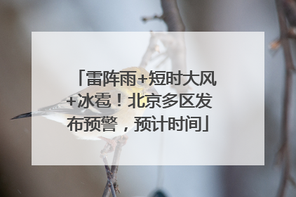 雷阵雨+短时大风+冰雹！北京多区发布预警，预计时间