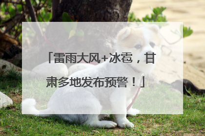 雷雨大风+冰雹，甘肃多地发布预警！