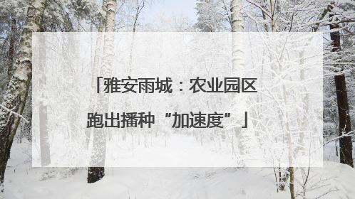 雅安雨城：农业园区跑出播种“加速度”