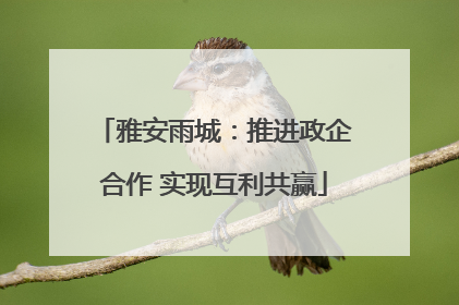 雅安雨城：推进政企合作 实现互利共赢