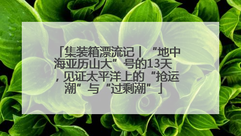 集装箱漂流记丨“地中海亚历山大”号的13天，见证太平洋上的“抢运潮”与“过剩潮”