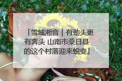 雪域湘音｜有劲头更有奔头 山南市桑日县的这个村落迎来蜕变
