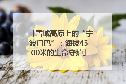 雪域高原上的“宁波门巴”：海拔4500米的生命守护