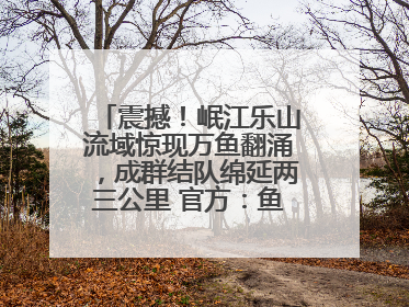 震撼！岷江乐山流域惊现万鱼翻涌，成群结队绵延两三公里 官方：鱼群在此产卵