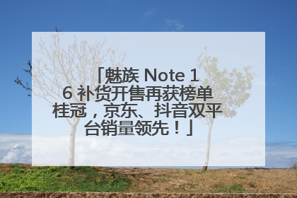 魅族 Note 16 补货开售再获榜单桂冠，京东、抖音双平台销量领先！