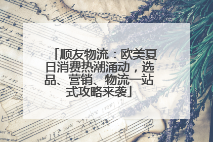 顺友物流：欧美夏日消费热潮涌动，选品、营销、物流一站式攻略来袭