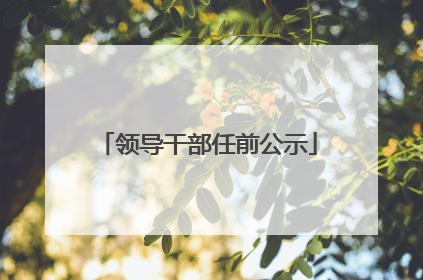 领导干部任前公示