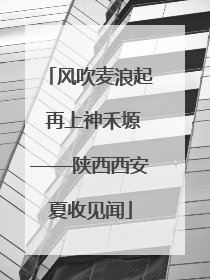 风吹麦浪起 再上神禾塬——陕西西安夏收见闻