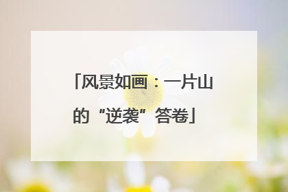 风景如画：一片山的“逆袭”答卷
