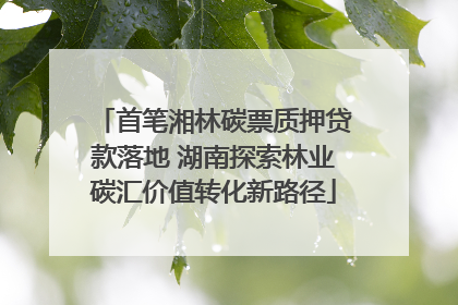 首笔湘林碳票质押贷款落地 湖南探索林业碳汇价值转化新路径