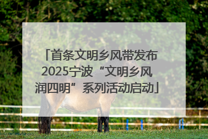 首条文明乡风带发布 2025宁波“文明乡风润四明”系列活动启动