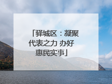 驿城区：凝聚代表之力 办好惠民实事