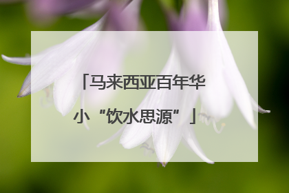 马来西亚百年华小“饮水思源”