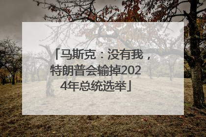 马斯克：没有我，特朗普会输掉2024年总统选举