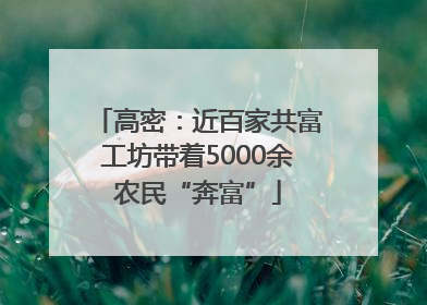 高密：近百家共富工坊带着5000余农民“奔富”
