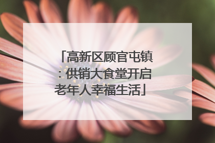高新区顾官屯镇：供销大食堂开启老年人幸福生活