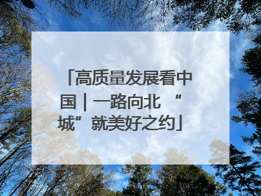 高质量发展看中国｜一路向北 “城”就美好之约