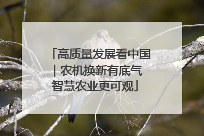 高质量发展看中国｜农机换新有底气 智慧农业更可观