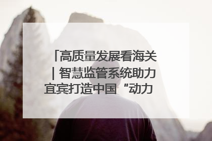 高质量发展看海关｜智慧监管系统助力宜宾打造中国“动力电池之都”