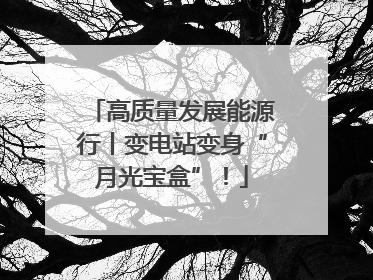高质量发展能源行丨变电站变身“月光宝盒”！