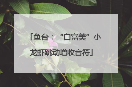 鱼台：“白富美”小龙虾跳动增收音符