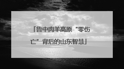 鲁中肉羊高原“零伤亡”背后的山东智慧