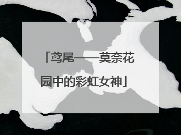 鸢尾——莫奈花园中的彩虹女神