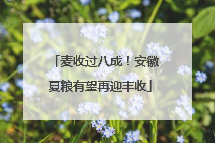 麦收过八成！安徽夏粮有望再迎丰收