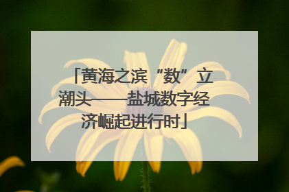 黄海之滨“数”立潮头——盐城数字经济崛起进行时