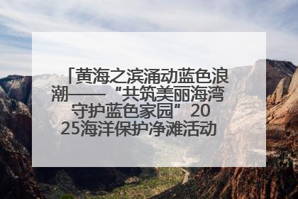 黄海之滨涌动蓝色浪潮——“共筑美丽海湾 守护蓝色家园”2025海洋保护净滩活动暨“美丽江苏—江河湖海青蓝行”海洋篇在连云港举行